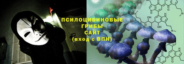 меф Медвежьегорск
