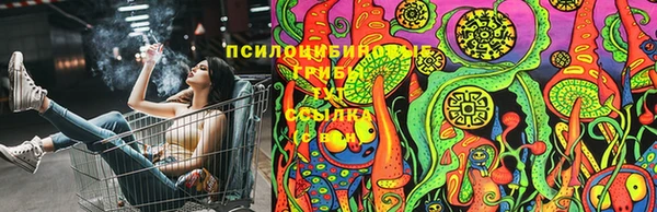 прущие крисы Мегион