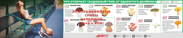 прущие крисы Мегион