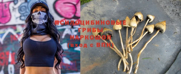 меф Медвежьегорск