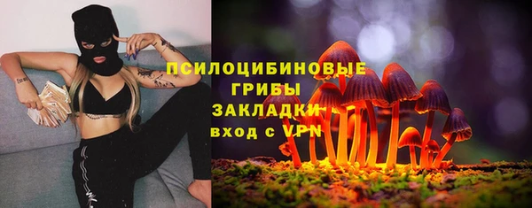 PSILOCYBIN Магадан