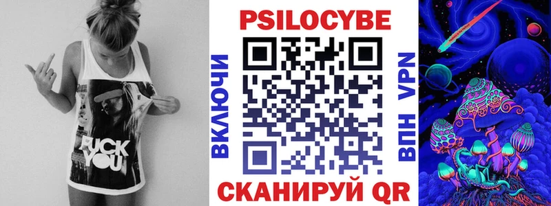Псилоцибиновые грибы Psilocybe  Ленинск 